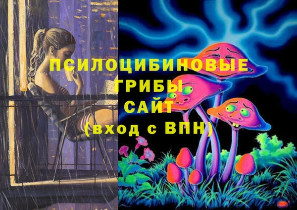 твердый Рославль